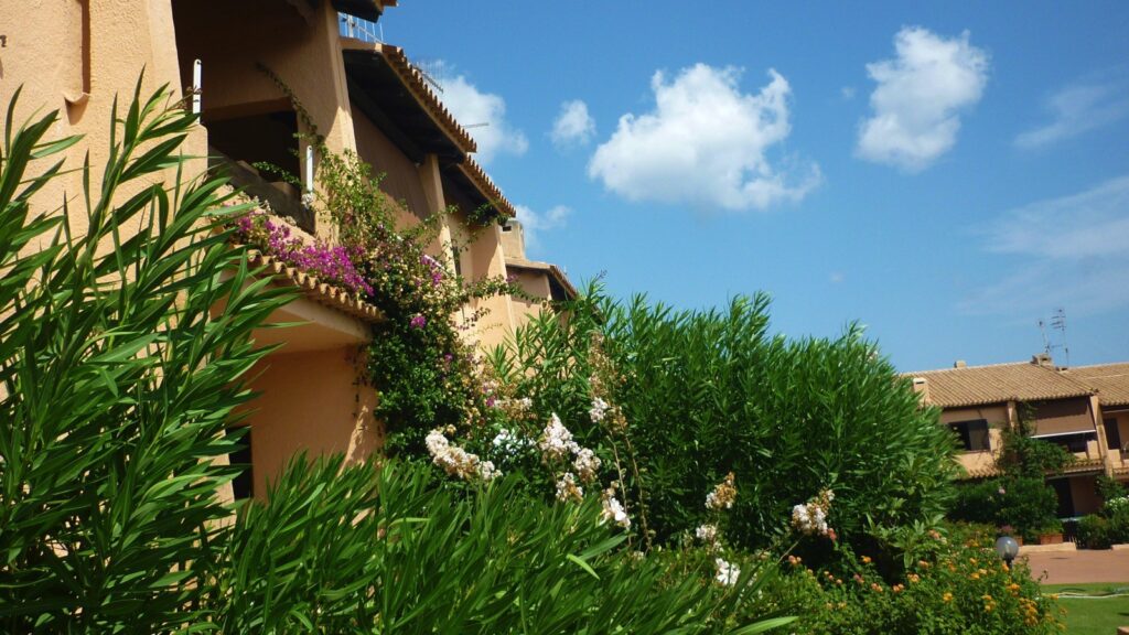 un giardino di oleandri in un condominio a Cannigione