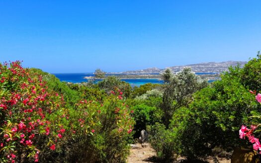 Villa unifamiliare con ampio terreno – La Maddalena